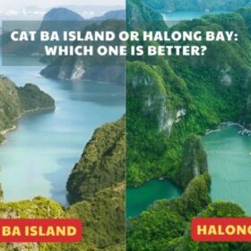 Cat Ba vs Halong Bay: Which One is Best for Your First Trip?