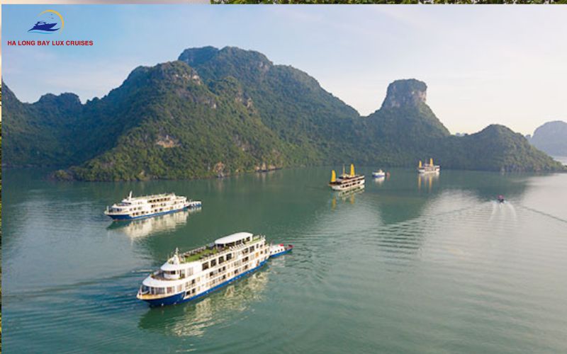 Mon Cheri Cruise Halong Bay