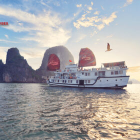 Overnight cruises in Bai Tu Long Bay