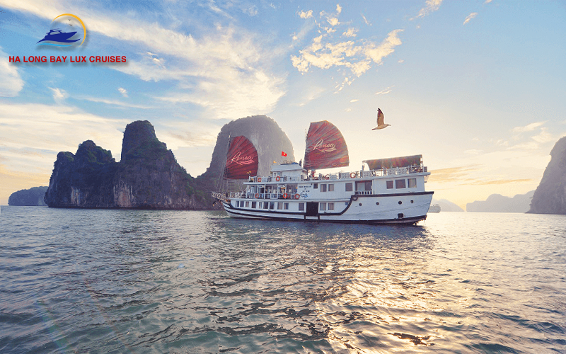 Overnight cruises in Bai Tu Long Bay