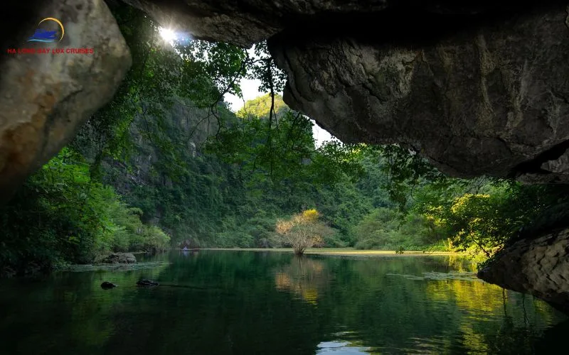 Choose Tam Coc or Trang An