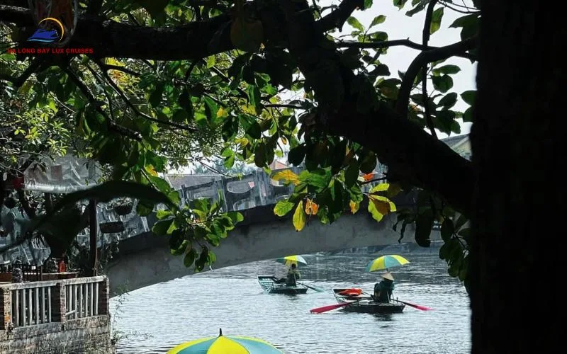 In autumn, Trang An possesses a gentle and serene beauty