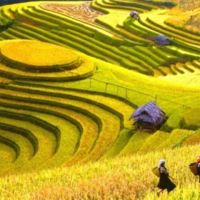 Sapa Halong Bay 5 Days Tour