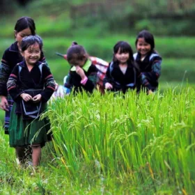 Sapa Halong Bay 5 Days Tour