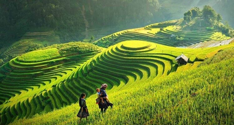 Must-Visit Places in Northern Vietnam