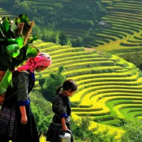 Sapa Halong Bay 5 Days Tour