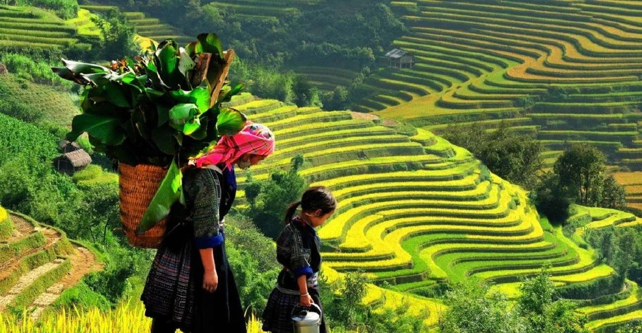 Sapa Halong Bay 5 Days Tour