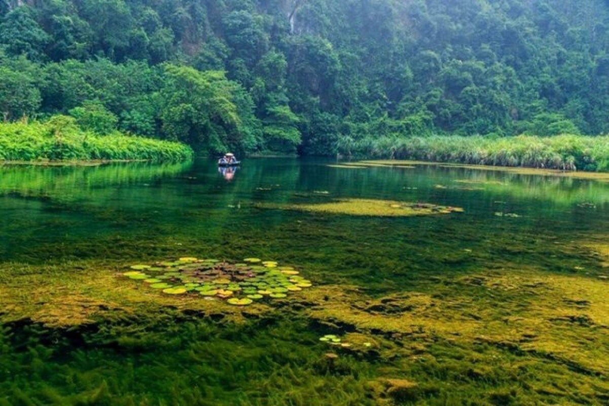 Van Long Nature Reserve