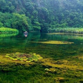 Van Long Nature Reserve