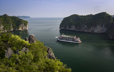 Dora Cruise Reviews