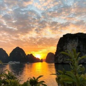 Halong Bay Cruise Reviews