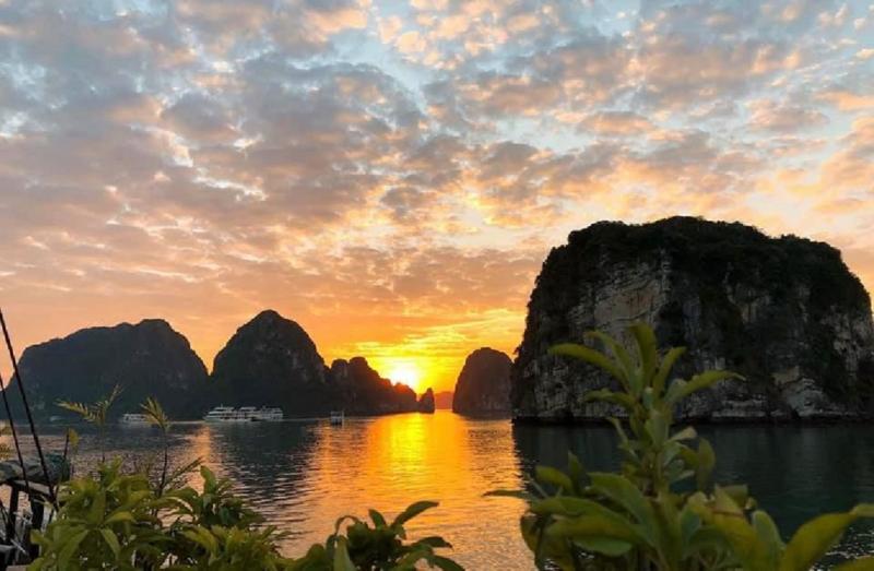 Halong Bay Cruise Reviews
