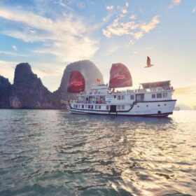Renea Cruise