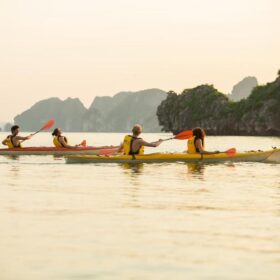 How to Book Signature Cruise