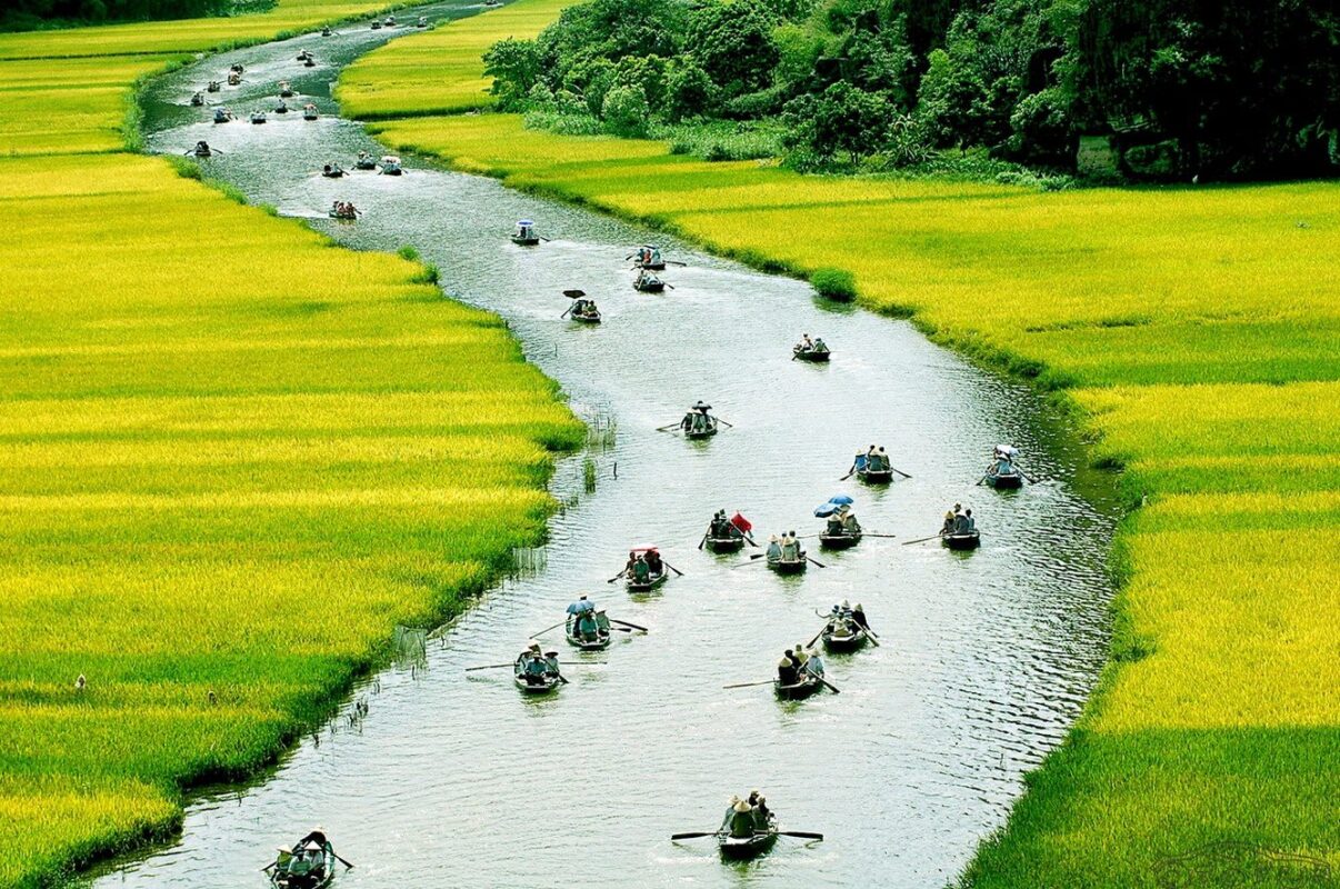 Best Times to Visit Trang An