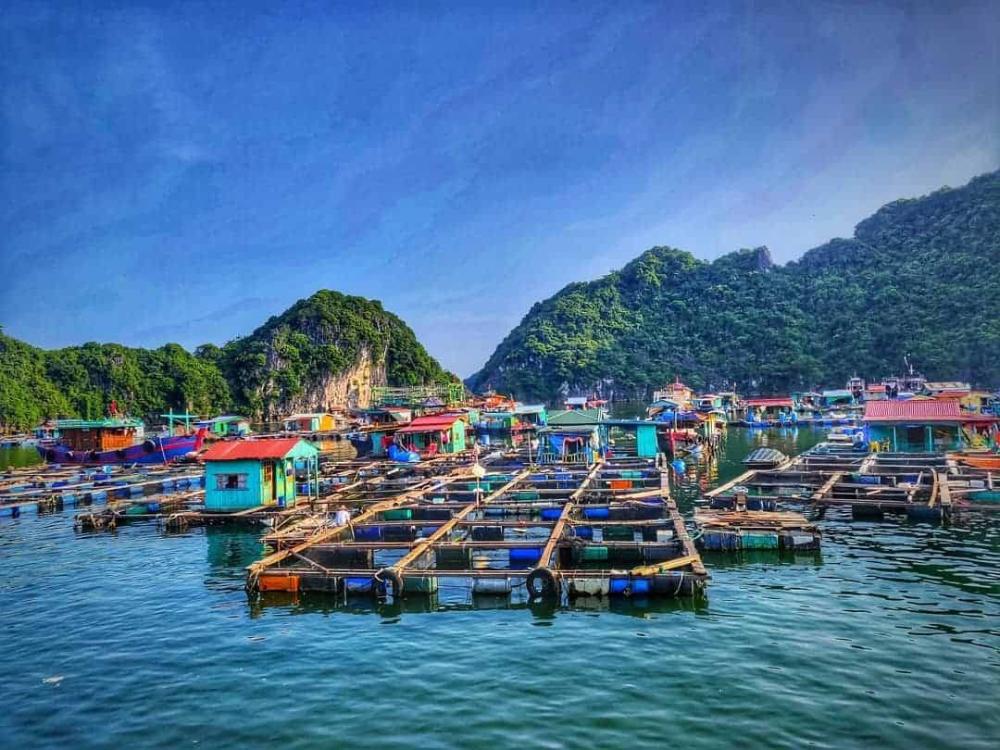 Worst Months to Visit Lan Ha Bay