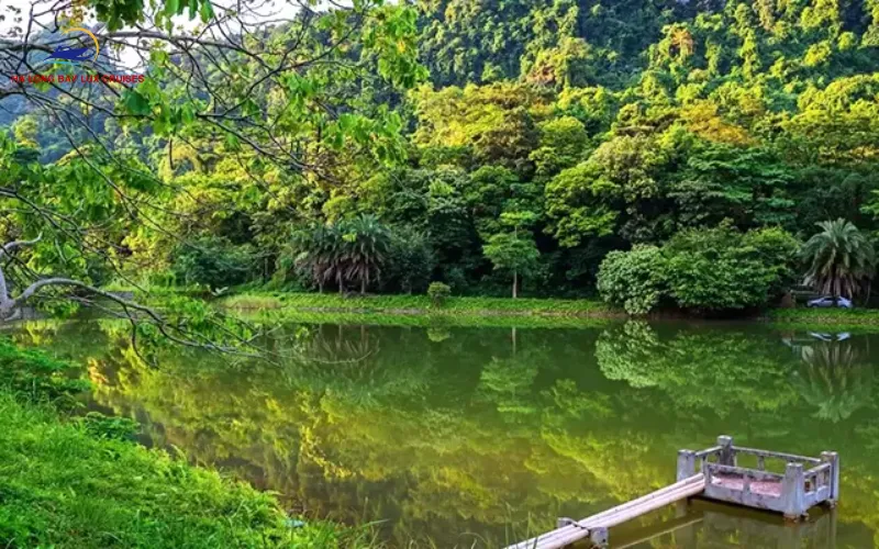 What Is Cuc Phuong National Park & Where Is It Located?