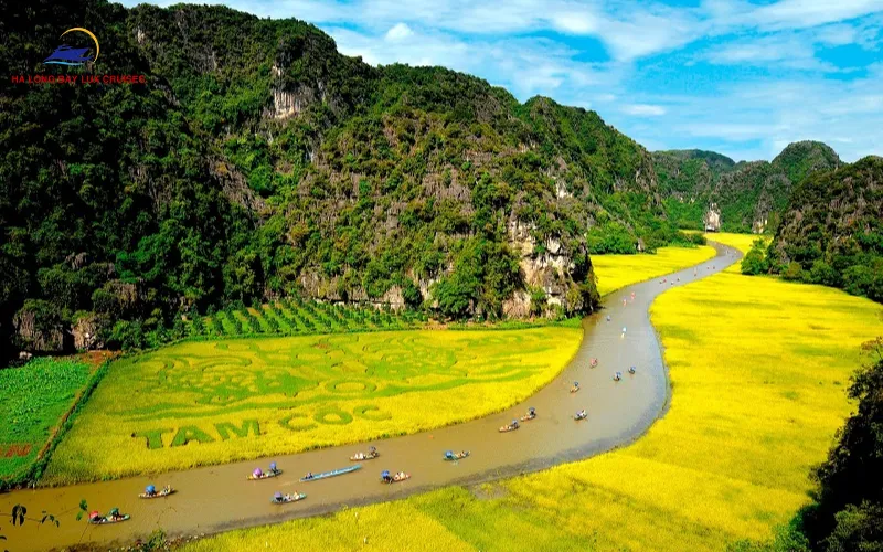 Top Things to Do in Cuc Phuong National Park