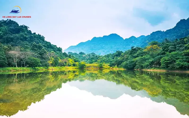 How to Get to Cuc Phuong National Park