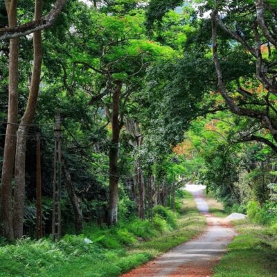 Cuc Phuong National Park