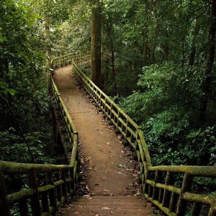 Cuc Phuong National Park