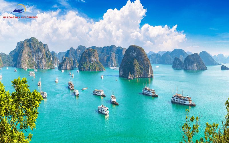 Best Time to Visit: Halong Bay vs Phu Quoc Weather