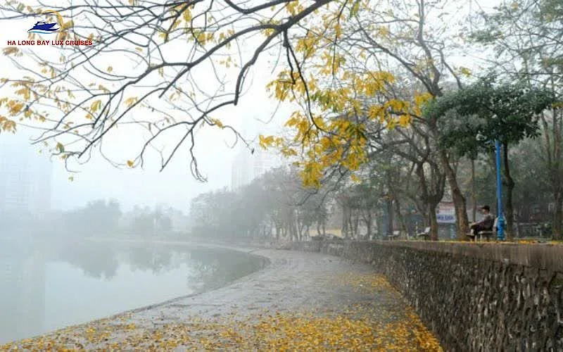 Essential Weather Knowledge for Hanoi Visitors During Typhoon Season
