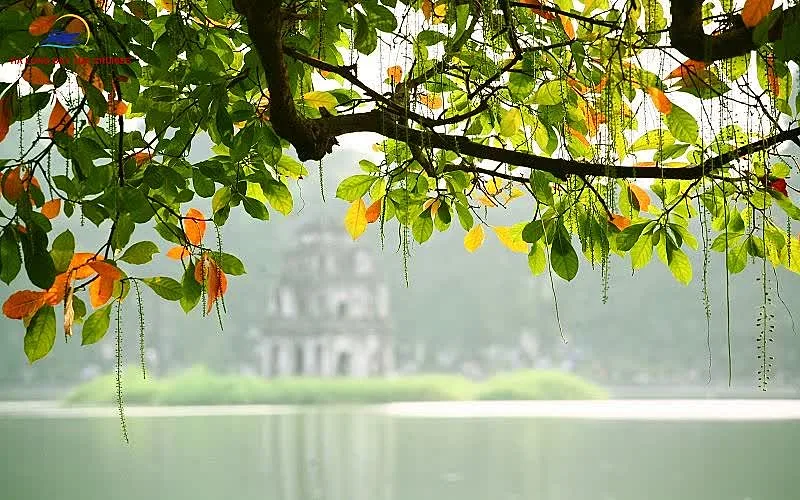 Cultural Experiences Unique to Hanoi’s Rainy Season