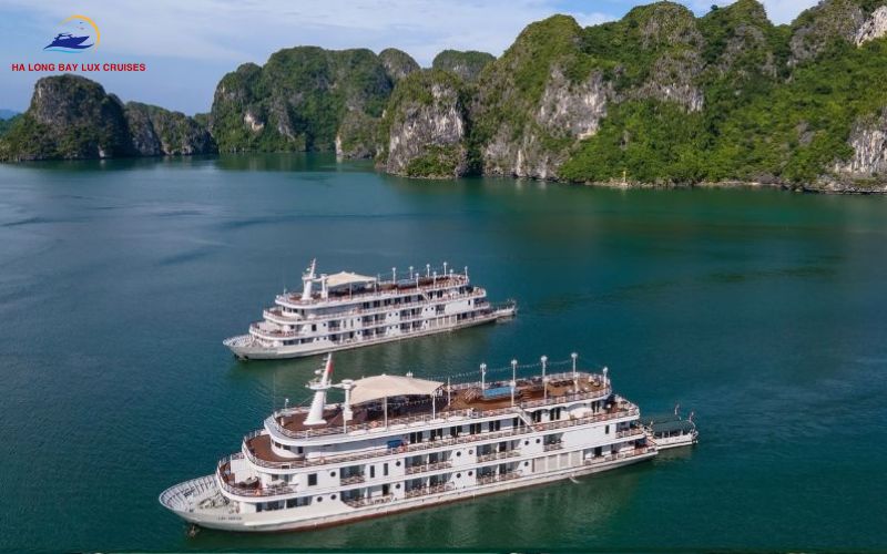 orchid cruise halong bay reviews