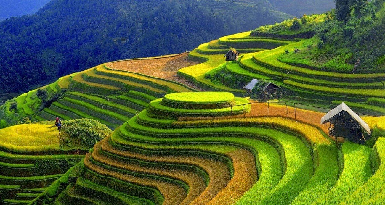 Best Time to Visit Sapa