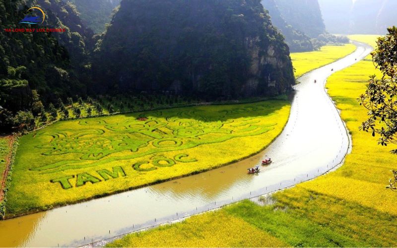 Benefits of climbing here