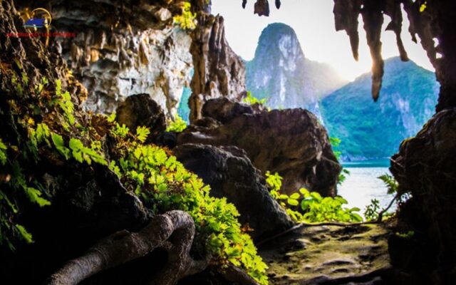 All you need to know about Halong Bay Climbing for tourists