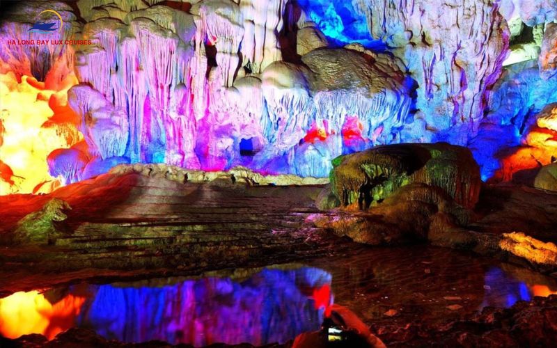 Diverse ecosystem of Halong Bay