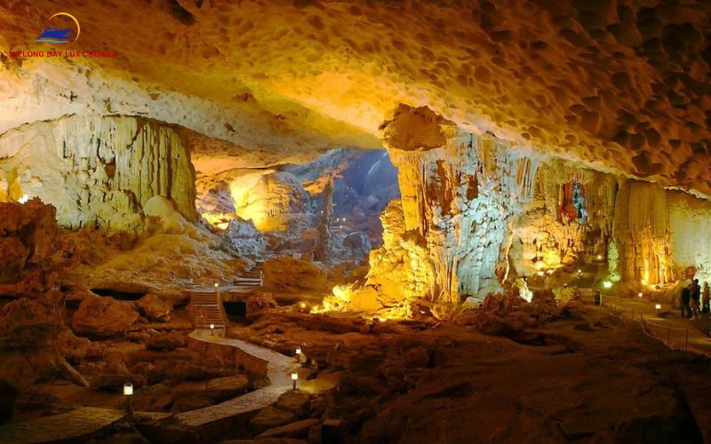 Notable animal species in Halong Bay