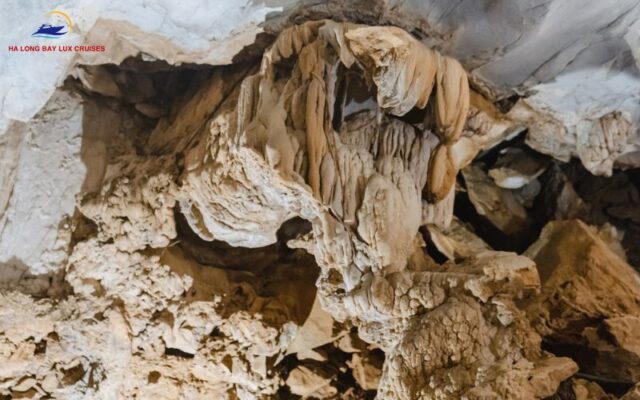 Discovering the diverse wildlife in Halong