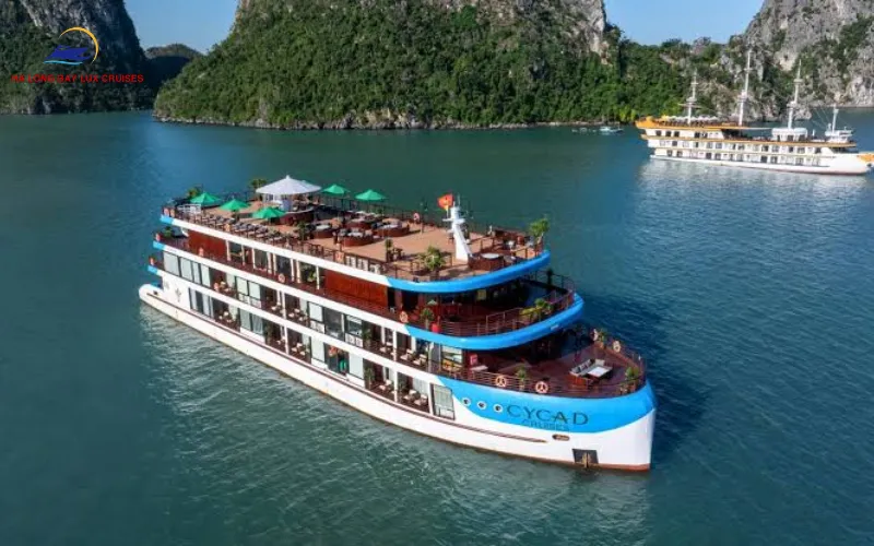 Detailed Overview of the Cycad Cruise Ha Long Bay Destination