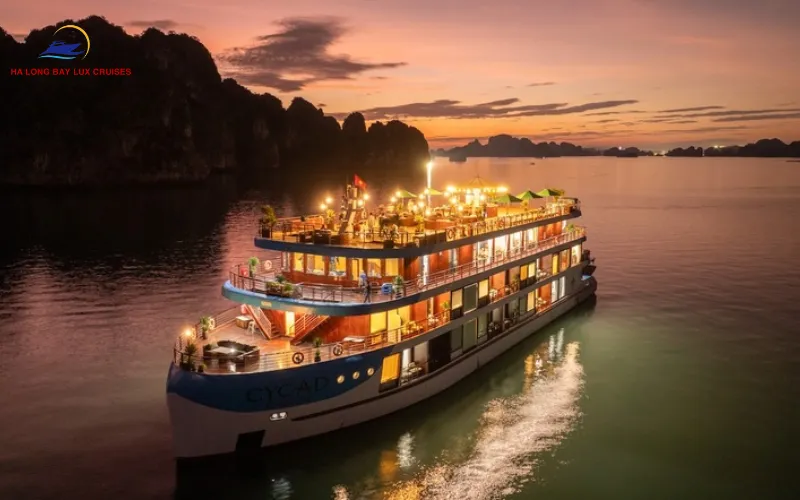 Ultra-Luxury Onboard Amenities of the Cycad Cruise 6 Star Fleet