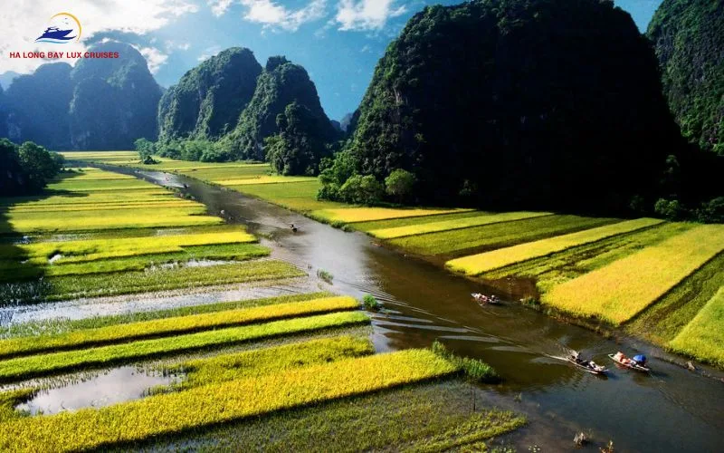 Ha Long Bay Lux Cruises