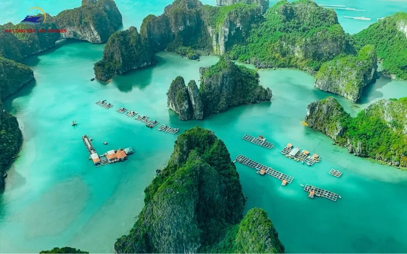 Visit floating fishing villages and experience local life