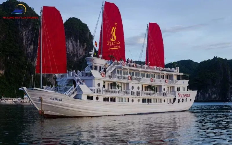 5-star cruise experience