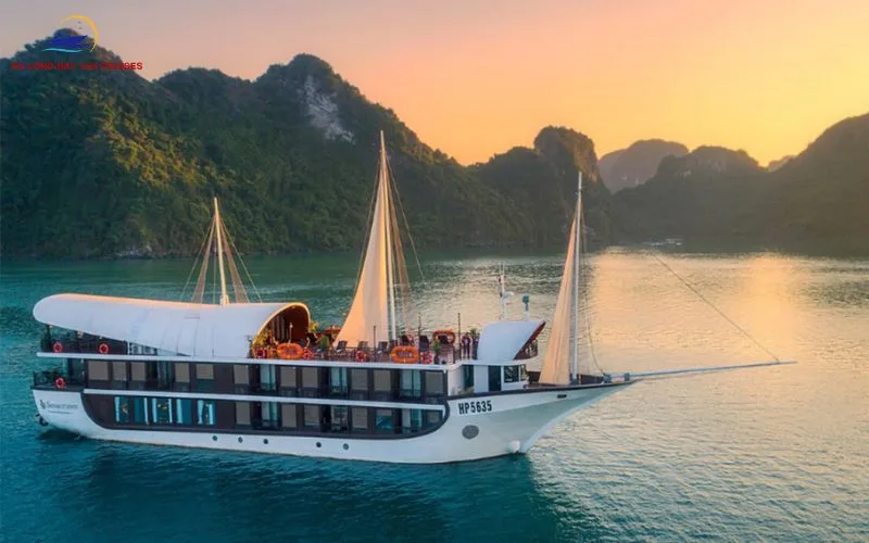 Family or small group cruises