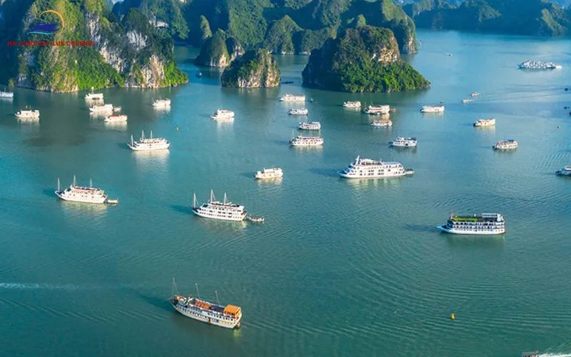 Halong Bay year-end cruise