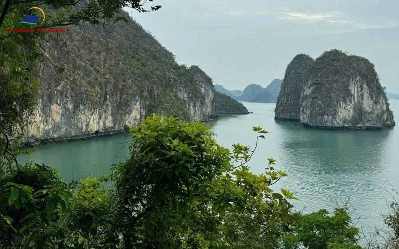 Easy to move and elderly-friendly space