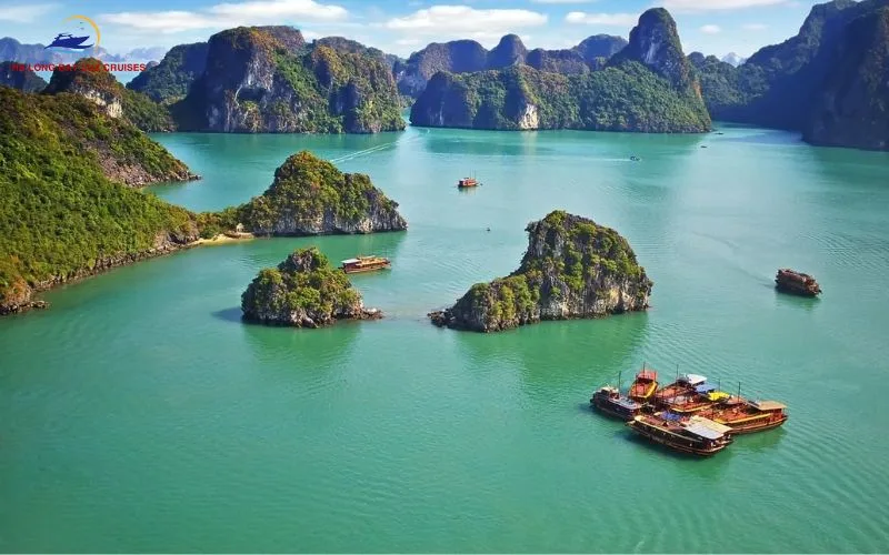 Read the cancellation and refund policy carefully