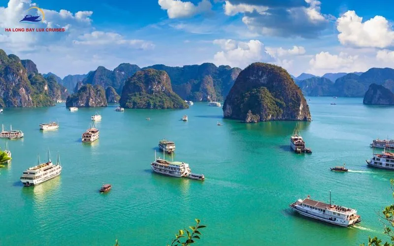 What is charged separately