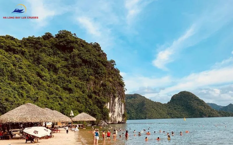 Clear consultation and transparent pricing