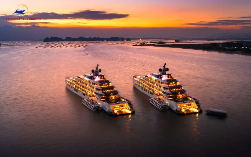 what to do at night in Halong Bay