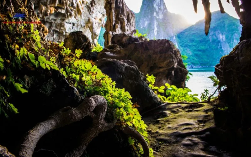 Location of Dark and Bright Caves Lan Ha Bay