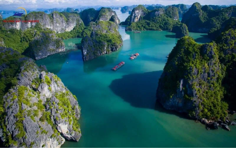 Ha Long Bay Lux Cruises specializes in providing tours in Lan Ha Bay