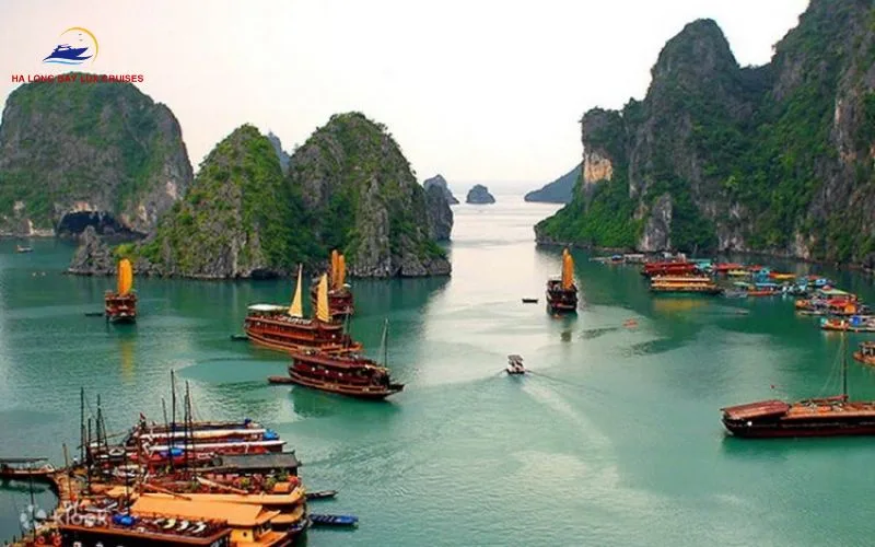 Highlights & Activities on a Ha Long Bay Cruise